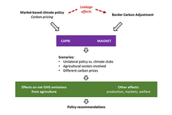 Agricultural long-term policies for climate mitigation