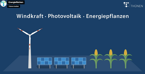 Winkraft, Photovoltaik, Energiepflanzen