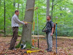 The German National Forest Inventory