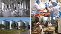 5-State-Evaluation: Effects of investment support for agri-food companies