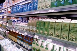Preisbildung auf dem Milchmarkt: Wer diktiert und wer reagiert?