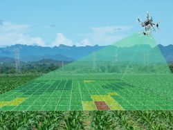 Digitalisation in Crop Production: Savings Potentials and Profitability