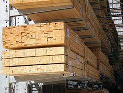 Umsetzung und Auswirkungen der Europäischen Holzhandelsverordnung