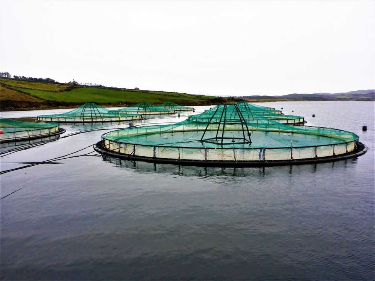 Netcages for Atlantic Salmon production off the West coast of Ireland