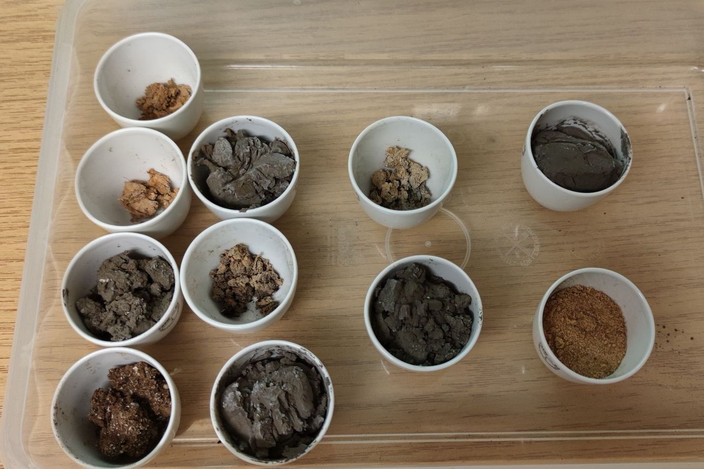 Soil samples in crucibles after annealing in a muffle furnace at 550 C.