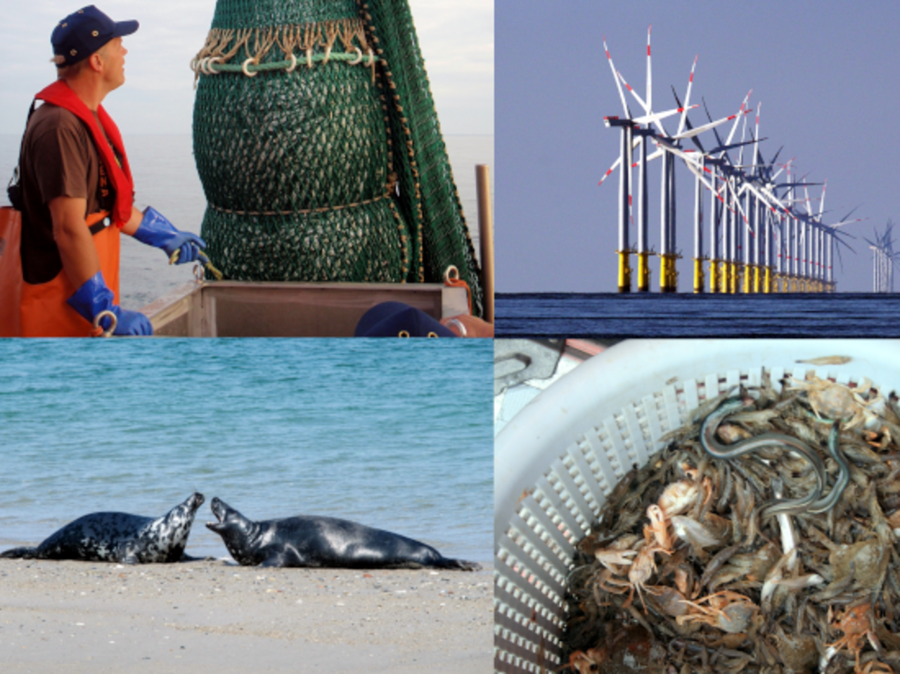 Herausforderungen der EU-Fischereipolitik
