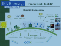 Biorefineries in a future BioEconomy