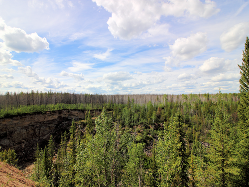 Borealer Wald nahe Fort Smith, Northwest Territories, Kanada. Der Wald im Hintergrund hat vor zwei Jahren gebrannt.