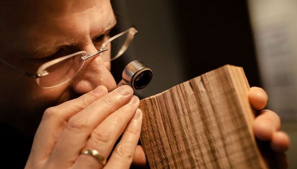Ein Wissenschaftler schaut durch eine Lupe auf ein Stück Holz