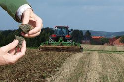 SoilMan - Ökologische und ökonomische Bedeutung von Bodenbiodiversität in Agrarsystemen
