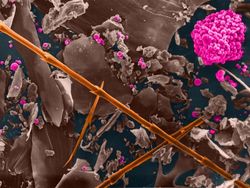Bioaerosols : Tiny particles, big effect