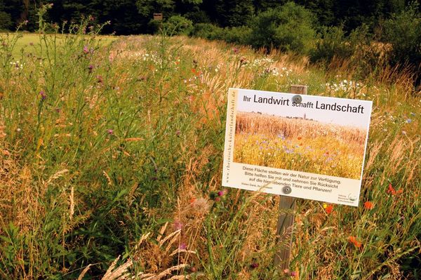 Wildblumenwiese mit einem Werbschild mit der Aufschrift "Ihr Landwirt schafft Landschaft".