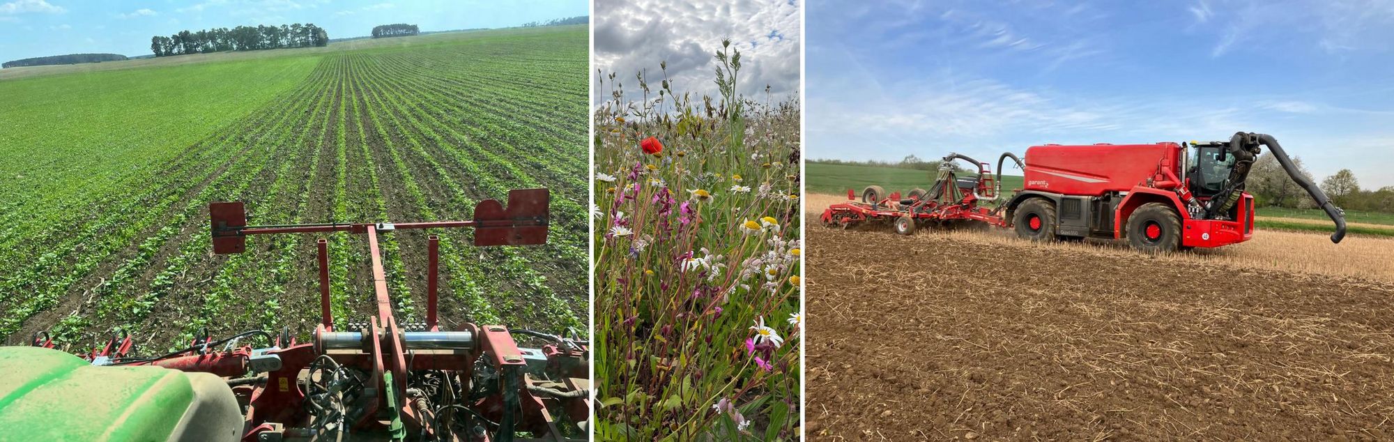 Collage von 3 photos: the attached hoe in the inter-rows of corn, blooming fallow land with a variety of wild flowers and grasses in an agricultural landscape, a slurry tanker with a cultivator for direct cultivation into the soil on a stubble field