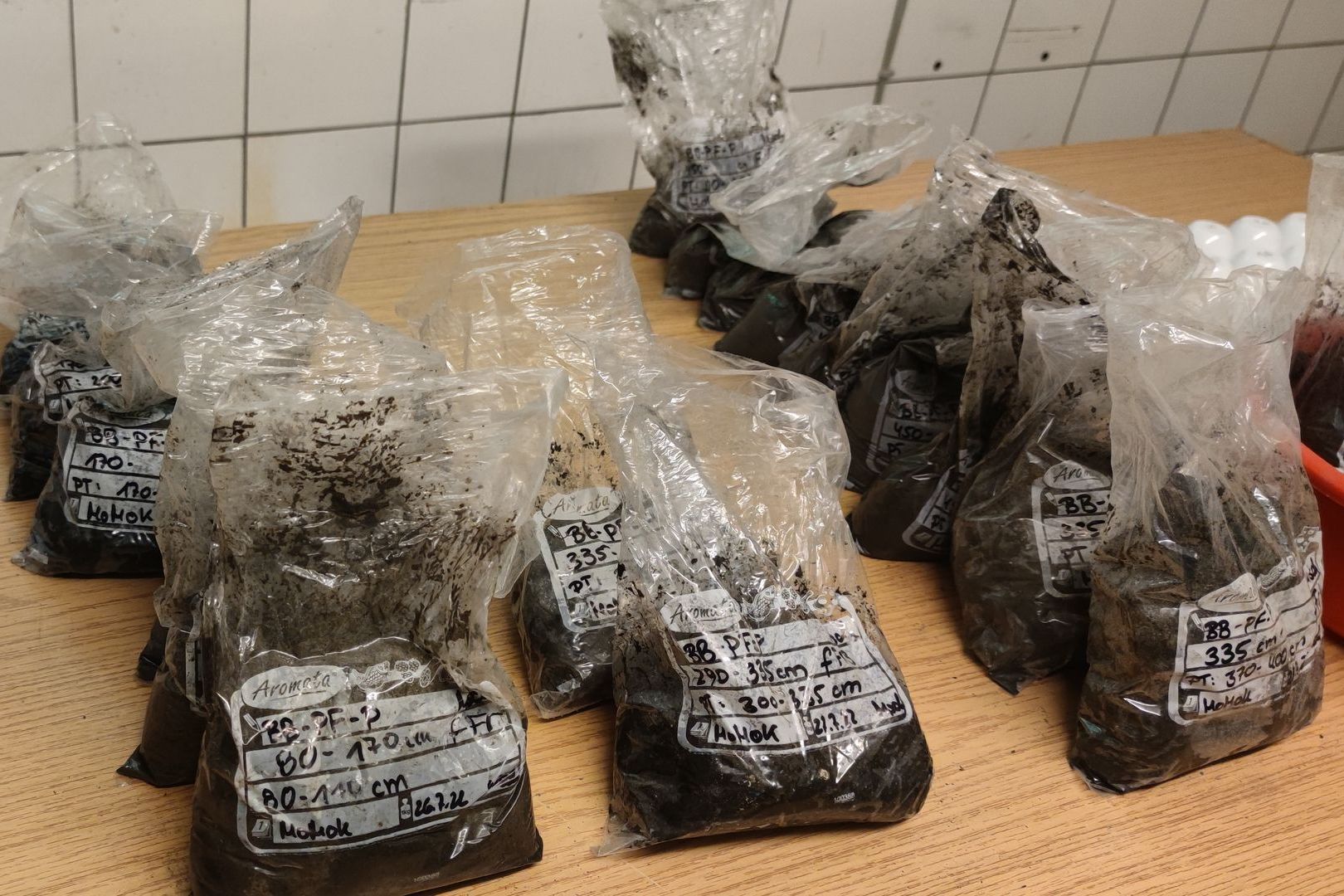 Several soil samples in labeled plastic bags on a table. The fresh mass has just come from the cold storage room.