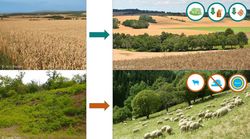 Transformative visions and agroecological approaches for more biodiversity in agricultural landscapes