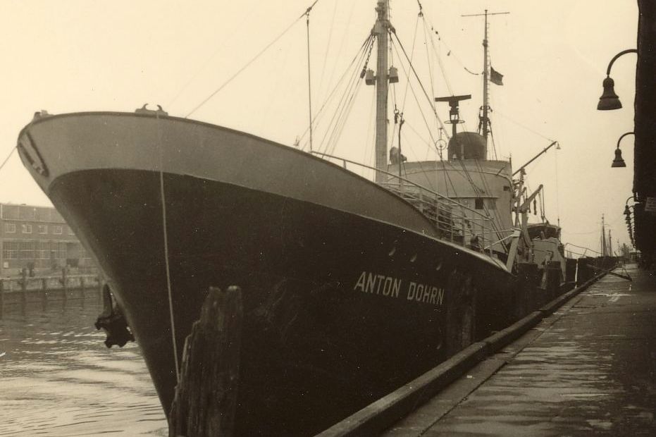 Die Anton Dohrn im Hafen