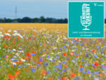 Ein Blühstreifen mit bunten Blumen vor einem Getreidefeld und dem Podcast-Logo