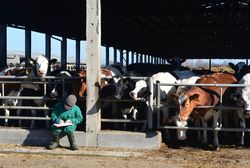 Animal welfare in dairy husbandry with a system – from farm self-monitoring to national monitoring