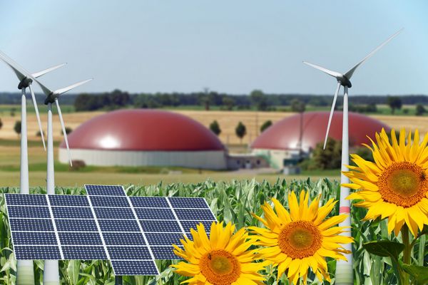 A photo collage with a biogas plant, a corn field, wind turbines, a solar panel and sunflowers.