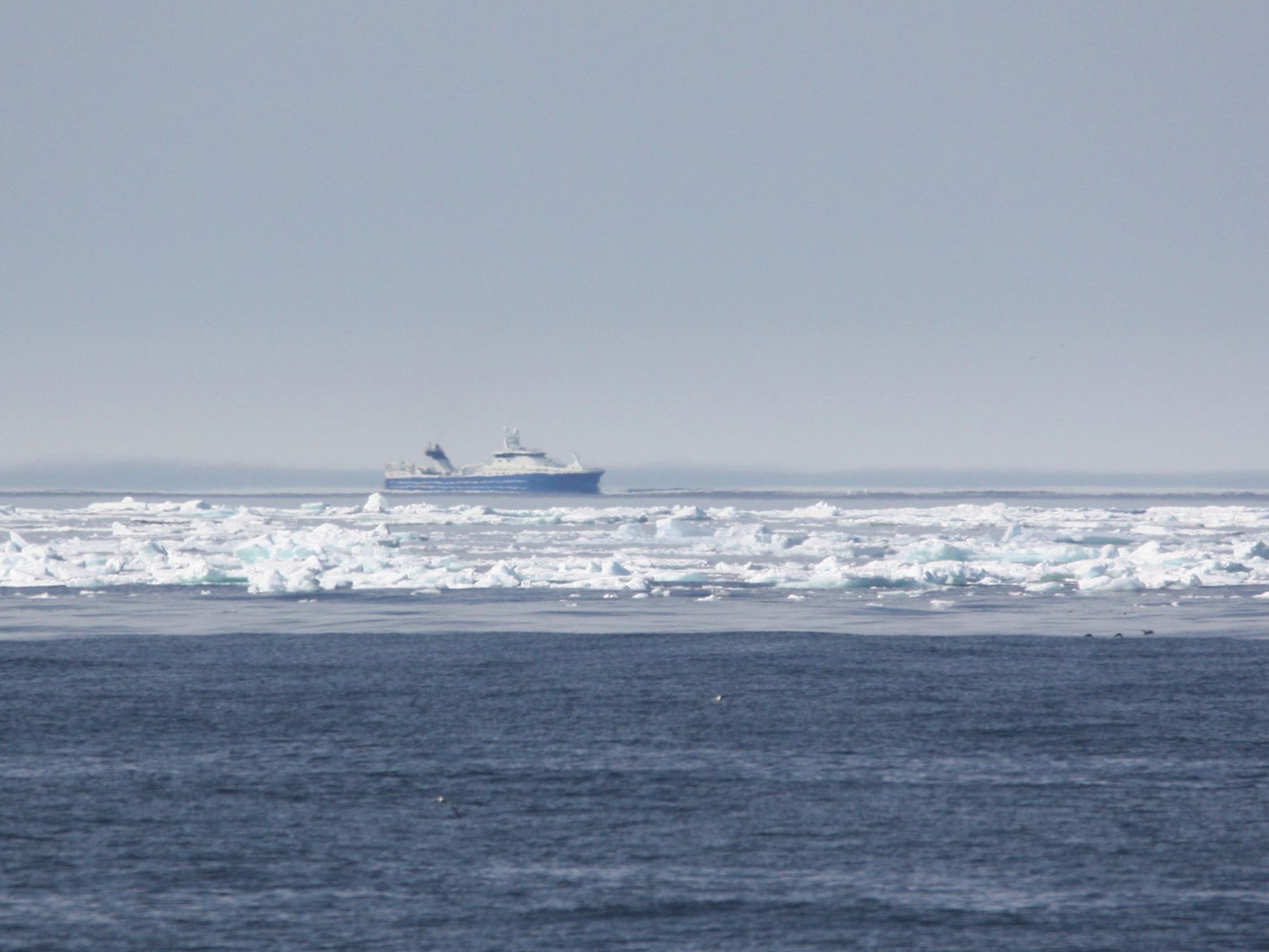 In der Ferne zwischen Eis und Küstenlinie ein Fischtrawler.