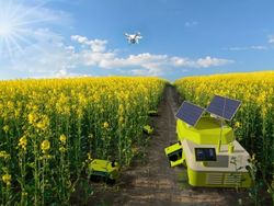 New crop production systems with autonomous agricultural machinery