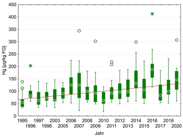 Diagramm zur steigenden Belastung von Klieschen in der Nordsee mit Quecksilber über 25 Jahre. 
