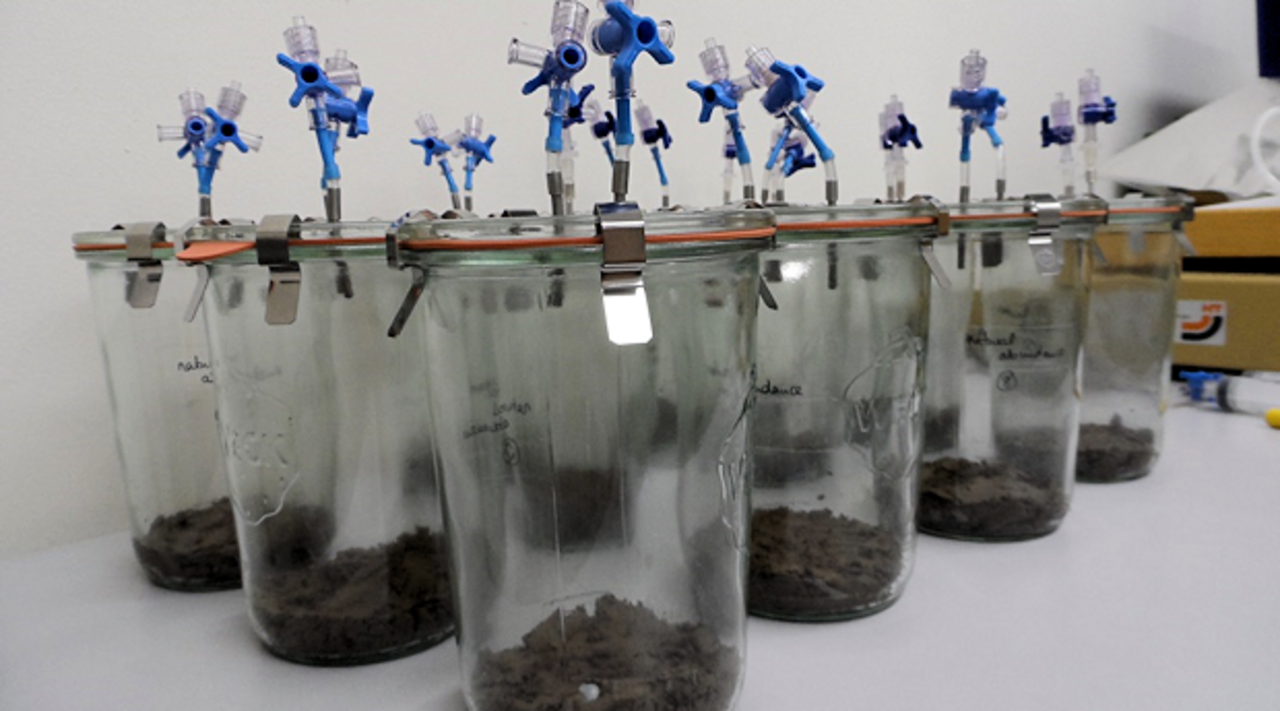 Anaerobe Bodeninkubationen mit Wachstumshemmstoffen für Bakterien und Pilze zur Untersuchung der N2O-Produktion durch Pilze.