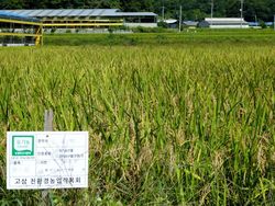 Organic farming in Korea