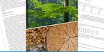 Blick in einen Laubwald und auf einen Holzpolter