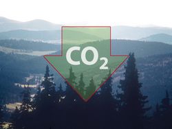 Forests as carbon sinks: How to remunerate this service?