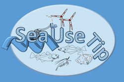 Kipppunkte im sozio-ökologischen System der Nordsee (SeaUseTip) - Vorphase