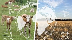 Internationale Forschungszusammenarbeit im Bereich landwirtschaftlicher Klimaschutz