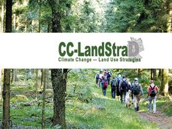 CC-LandStraD: Economic valuation of public goods provided by forests
