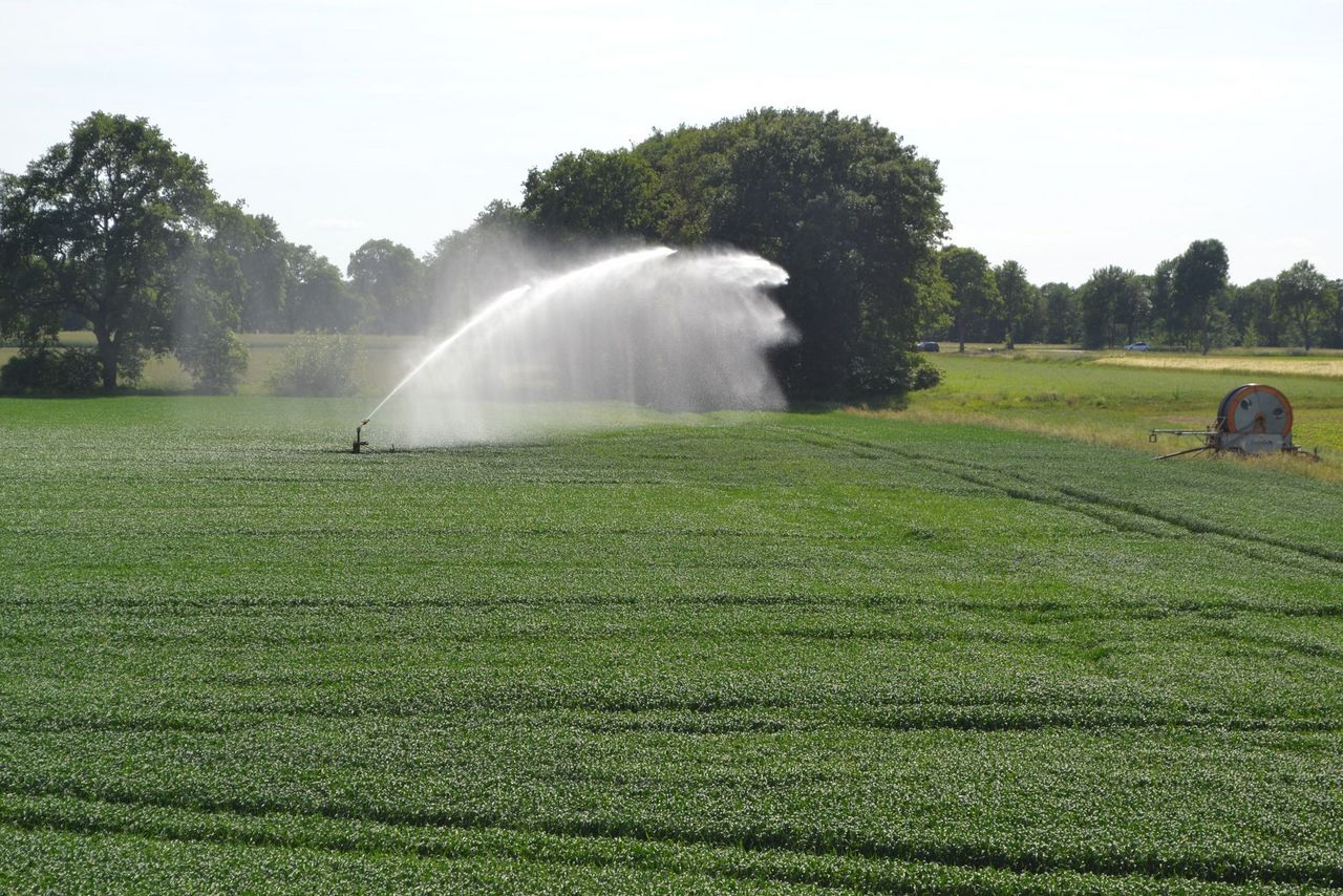 Grain irrigation