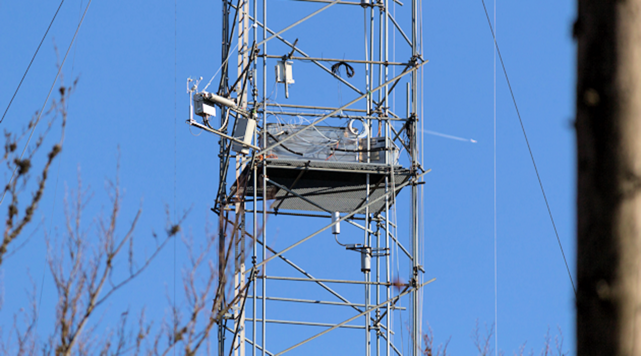 30 m platform as seen from the ground