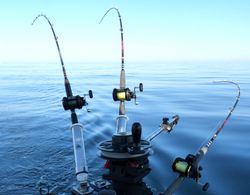 Which salmon fishing experience do you want?