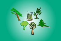 Sechs gezeichnete verschiedene Bäume vor einem grünen Hintergrund