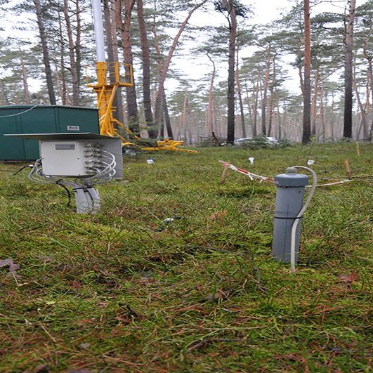 Mehrere Behälter und technische Geräte stehen auf dem Waldboden