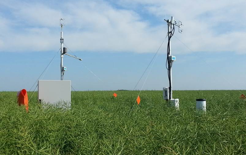 Measurement of CO2 and nitrous oxide fluxes from a rape field in Dedelow with the eddy covariance technique