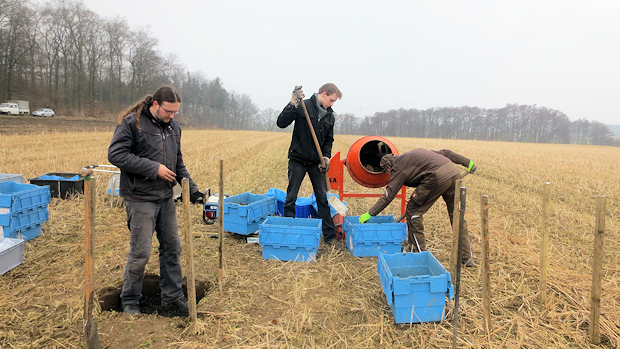 Application of biochar-soil mixtures to the experimental plots