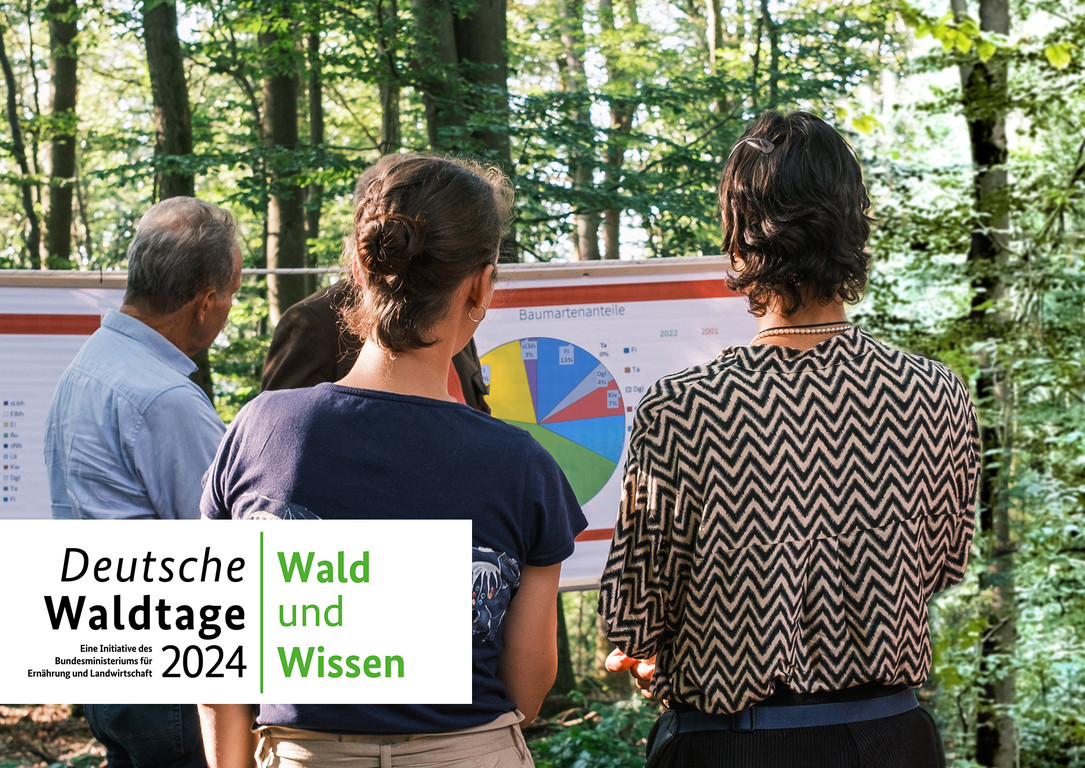 Deutsche Waldtage 2024 unter dem Motto "Wald und Wissen"
