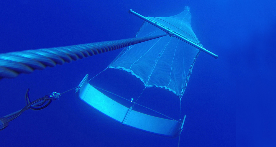 Ein Planktonnetz Unterwasser fotografiert