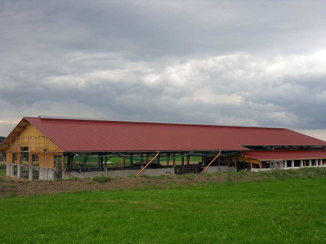Construction of a new dairy barn
