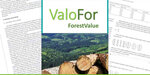 Lettering ValoFor - Forest Value; in the background an aerial view of a forest and a small section of a wooden pole