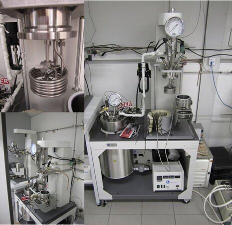 Autoclave for biomass digestion (1,000 mL, electric and steam heating)