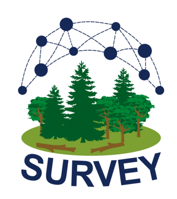 Logo des Projektes Ank-Survey.