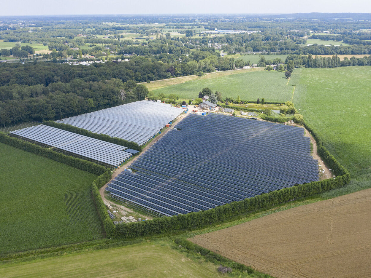 Sonnenkollektoren auf einem Feld