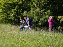 Recording biodiversity in agricultural landscapes