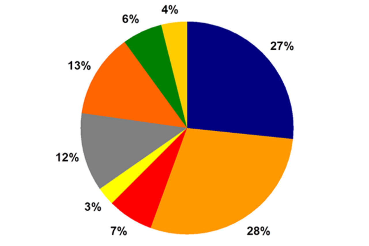 Die Tierkategorie und die Futterkosten haben den größten Einfluss auf die Kostenstruktur