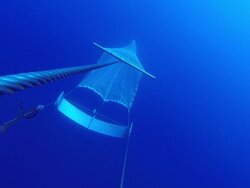 Studies in the spawning area of the European eel